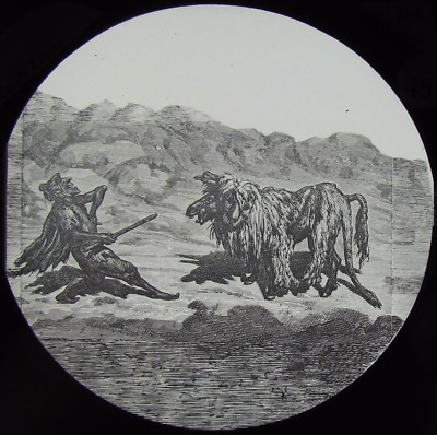 Glas Magische Laterne Dia AESOPS FABELN DER ESEL IM LÖWENFELL UM 1890 ZEICHNUNG