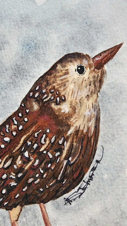 PINTURA ACUARELA ORIGINAL WREN BIRD Foto 4 de 4