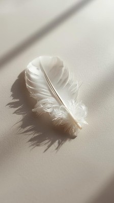 Minimal White Feather Matte Wallpaper Calm Minimal Aesthetic Phone Background