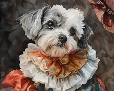 Maltese dressed in Victorian attire with a ruffled colla 8x10 Print