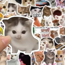 Sticker Set: Funny Cat MEME Graffiti Decals for DIY Scrapbook, Phone,
