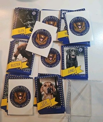 Lot If 104 Good Con. US Customs Service Service Dogs Collectors Cards Plus Case