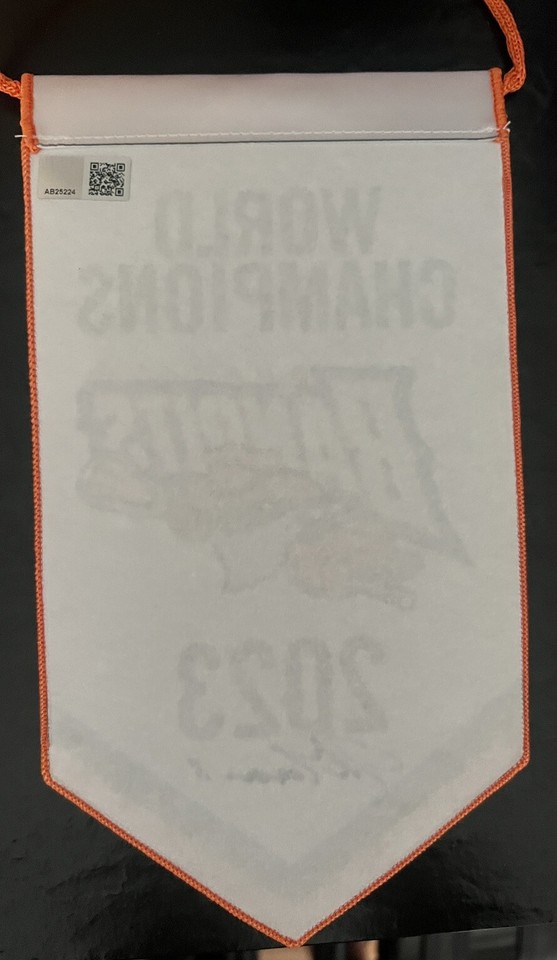 2024 Buffalo Bandits John Tavares Autograph Mini Championship Banner! C