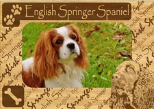 English Springer Spaniel w Paws Engraved Wood Picture Frame Magnet
