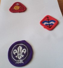 Scout badges