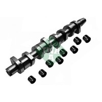 Schaeffler INA Nockenwellensatz Passend FüR Audi A3 A4 Seat Alhambra Altea
