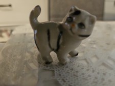 Katze Mehrfarbig