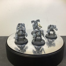 Warhammer 40k Space Marine Terminators OOP 5 models assembled PV23265