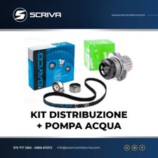 Kit de distribution Peugeot 206