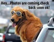 Det-Tronics DE3207-0001 IR Sensor for C7052B & C7052C