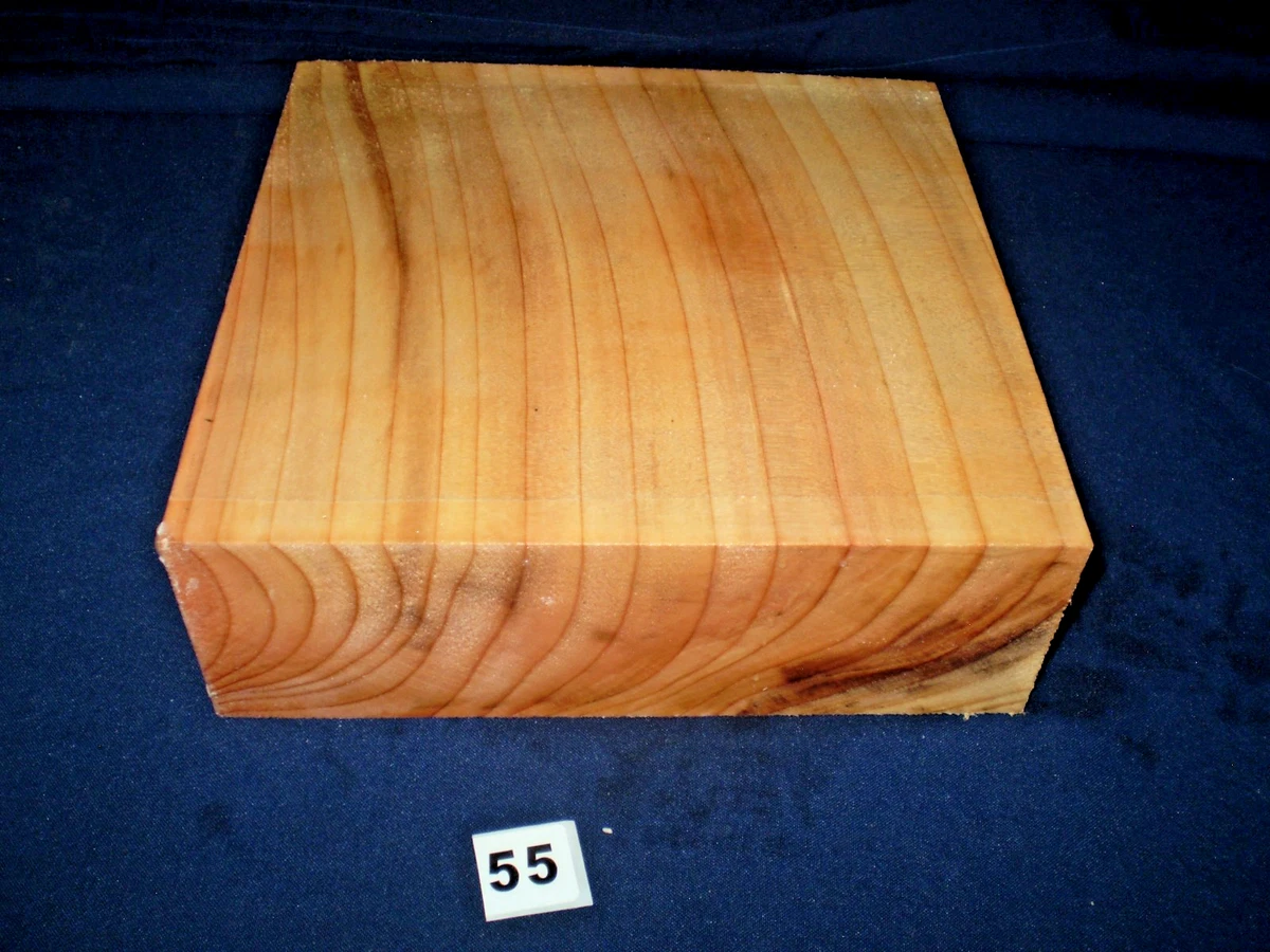 thuja smaragd läuse bekämpfen Purgrün Thuja-Smaragd-Dünger 1 kg main image 1