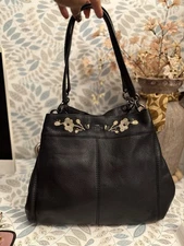 Coach Lexy Lexi Shoulder Bag Purse Embroidered pebble Leather F1721-F11873