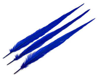 10 Pieces - 18-22'' Midnight Blue Bleached and Dyed Long Ringneck Pheasant Tail