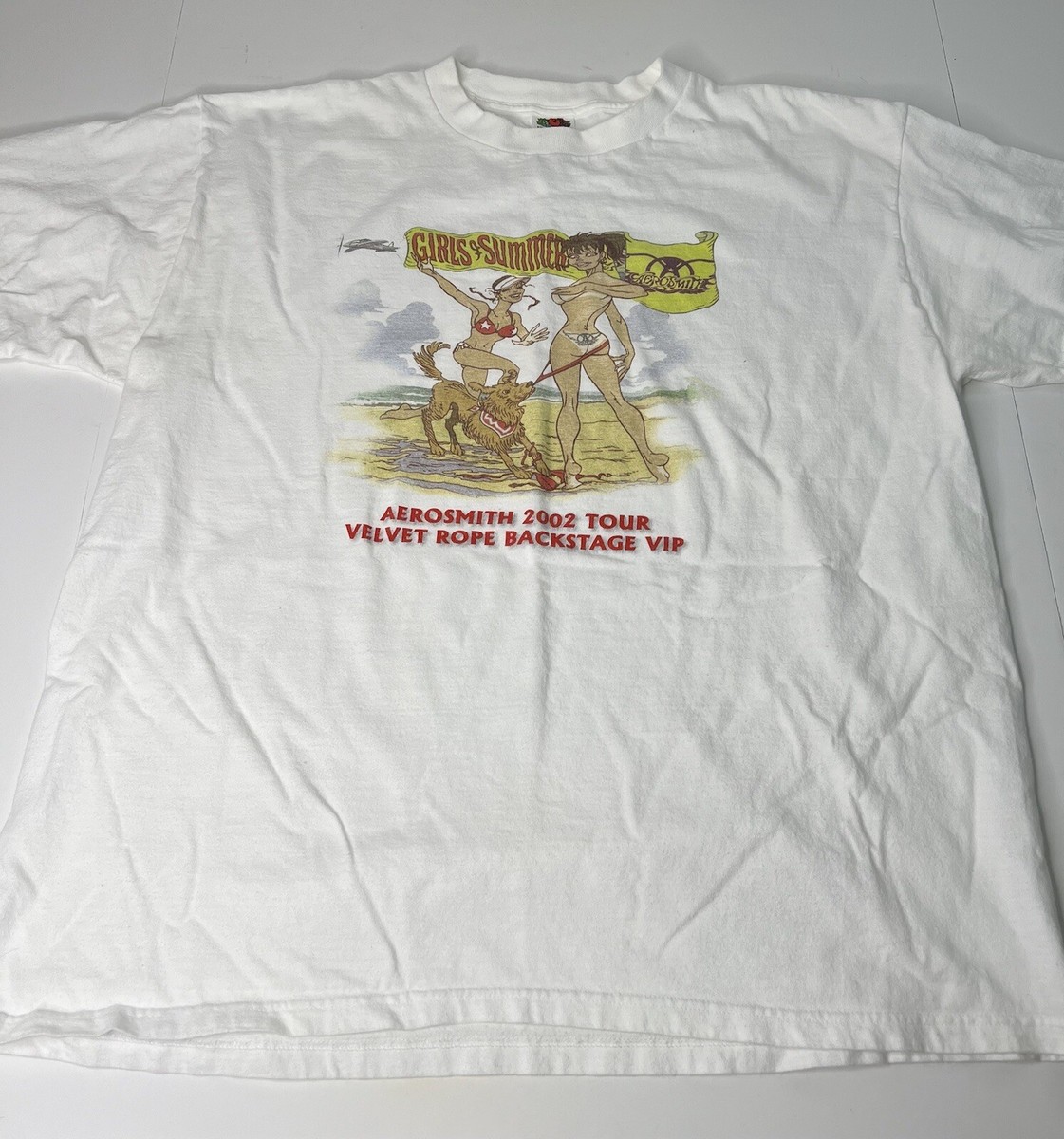 Aerosmith 2002年 ツアーTシャツ Vintage Aerosmith 