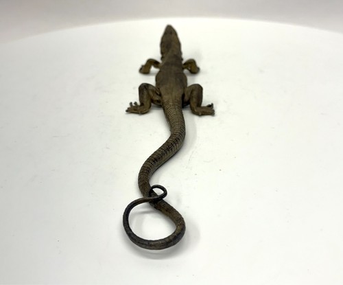 Antique Big Vienne Cold Painted Cast Iron Lizard - Salamander c1900 - Picture 7 of 13