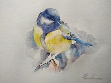 Great Tit,  Birds, Watercolor artwork, Handmade, Original painting on paper