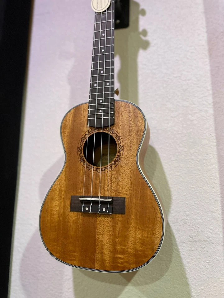 Nuevo ukelele de concierto de 22 pulgadas ukelele caoba con estuche de bolsa, cuerdas, púas Foto 2 de 4