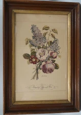 Victorian Botanical Flower Art Etching Print On Paper W/ Antique Wooden Frame