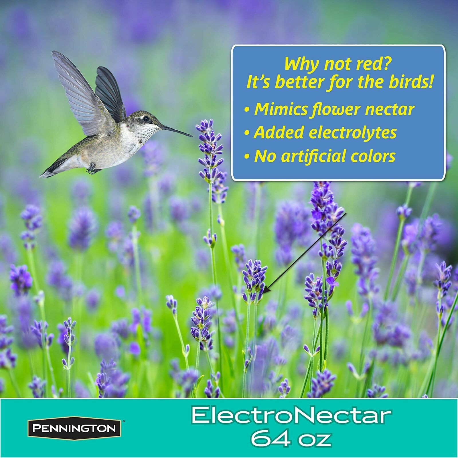 Pennington Electronectar ReadytoUse Hummingbird Nectar 64 oz, Clear eBay