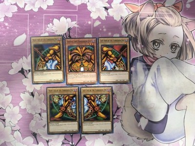 YUGIOH TCG! COMPLETE 5 Card Exodia the Forbidden One Set LDK2 Common NM