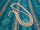 Foto 13 di 13