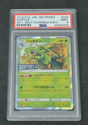 Toys Hobbies Pokemon Card Sunmoon Charisma Of The Wrecked Sky Promo Sceptile 228 Sm P Japan Mksdabrowka Pl Toys Hobbies Pokemon Card Sunmoon Charisma Of The Wrecked Sky Promo Sceptile 228 Sm P Japan Mksdabrowka Pl