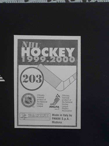 Panini NHL Hockey 1999 2000 99 00 ELIGE CUALQUIER PEGATINA CASI NUEVA/COMO NUEVA #201-360# - Imagen 7 de 297