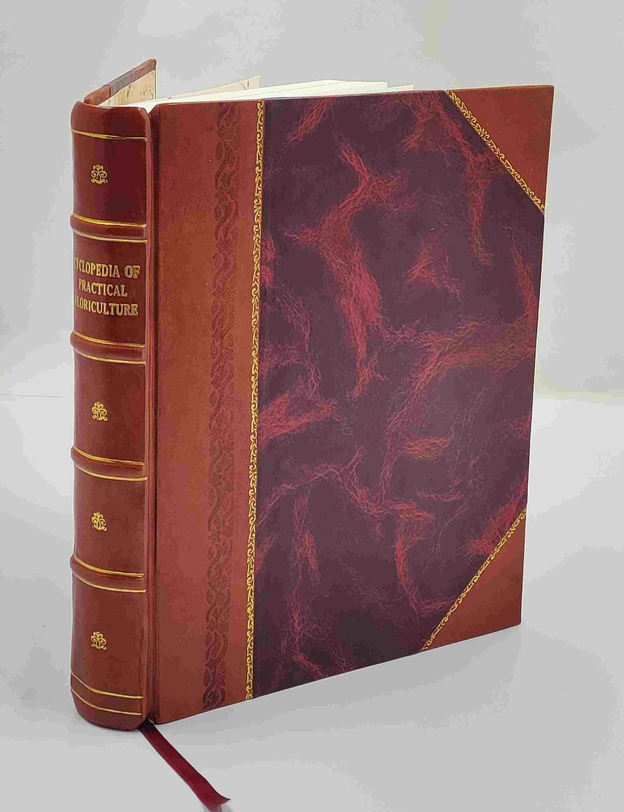 Cyclopedia of practical floriculture 1884 by Turner, Cordelia Ha [Leather Bound]