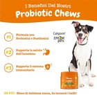 Foto 3 di 12