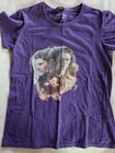 Foto 2 di 4
