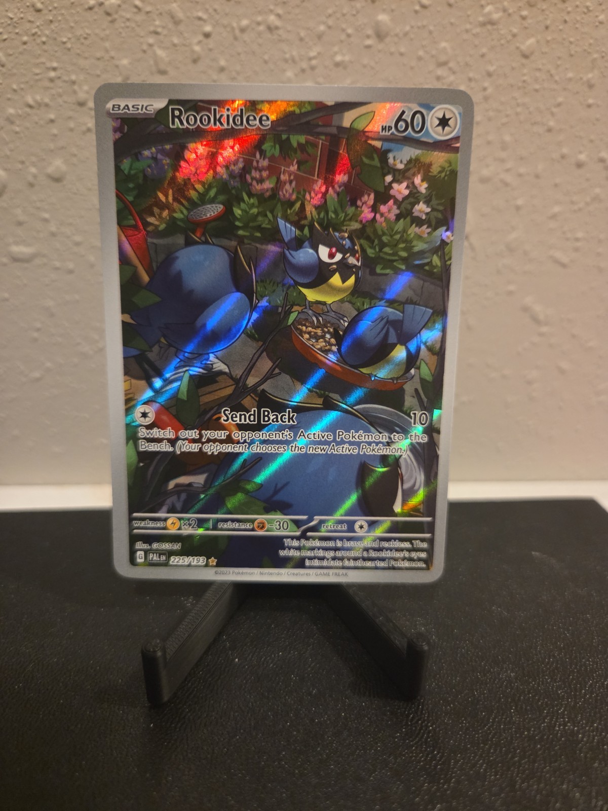 Near Mint Rookidee 225/193 Sv02: Paldea Evolved Holo