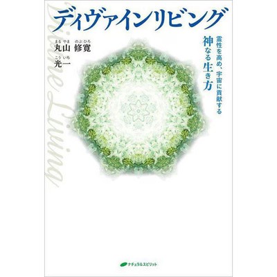 Divine Living Spirituality Book Holistic Self-Help For Ages 14+