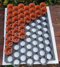 Pannello portavasi con 63 vasi tondi cm 5,5x5 x L 0,08 cactus semina piantine