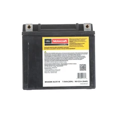 OEM NEW Ford F-150 - 2021-2025 Vehicle Battery Assembly-BHAGM-AUX1-B