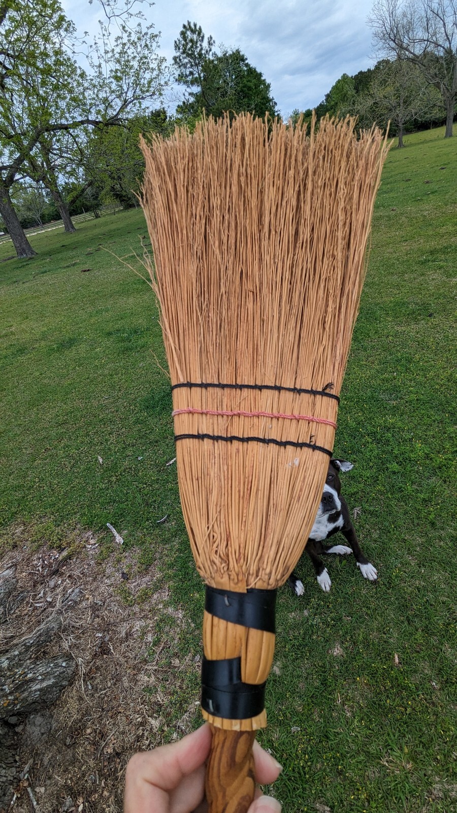 Picture 5 of 10