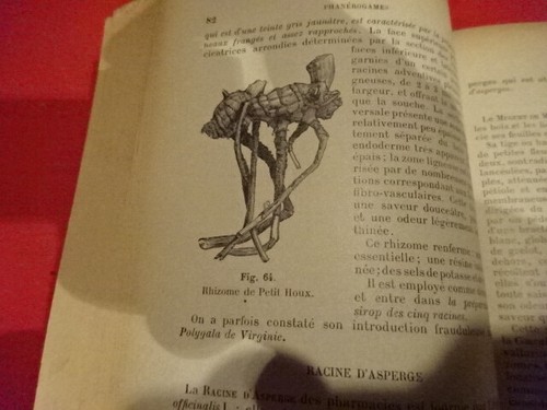 COLLIN (Eugène) - Précis de matière médicale. - Picture 12 of 12