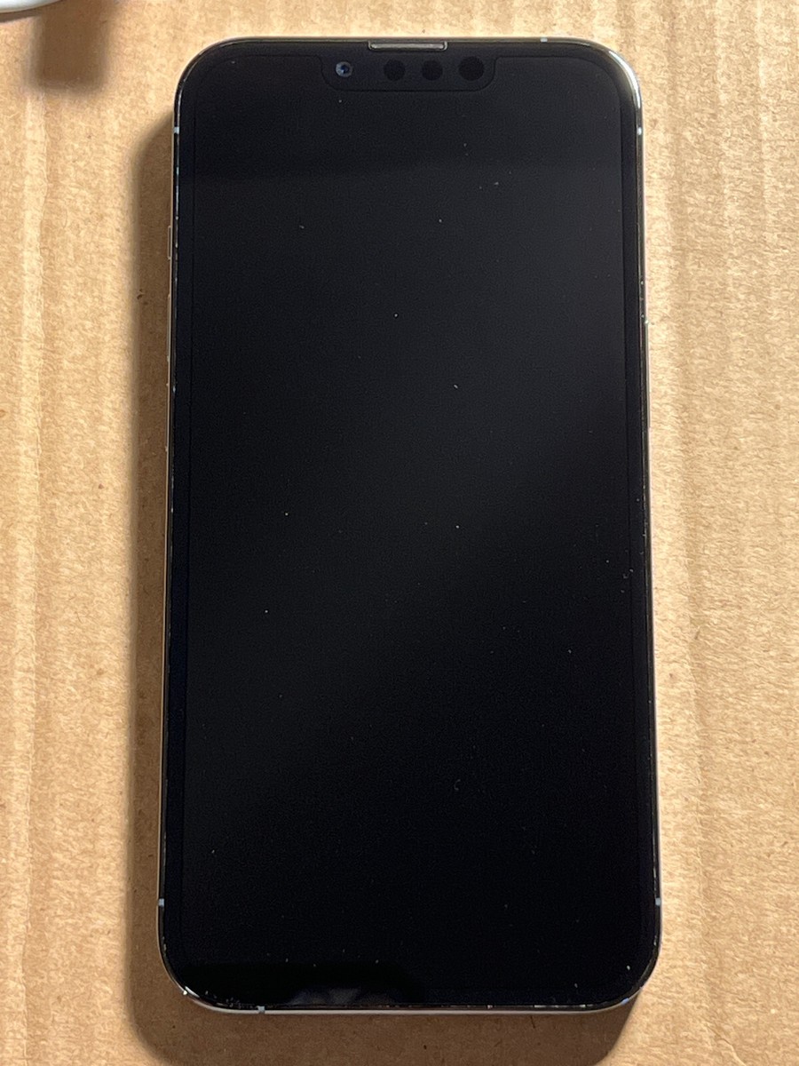 Apple iPhone 13 Pro - 256GB - Sierra blue Unlocked A2483