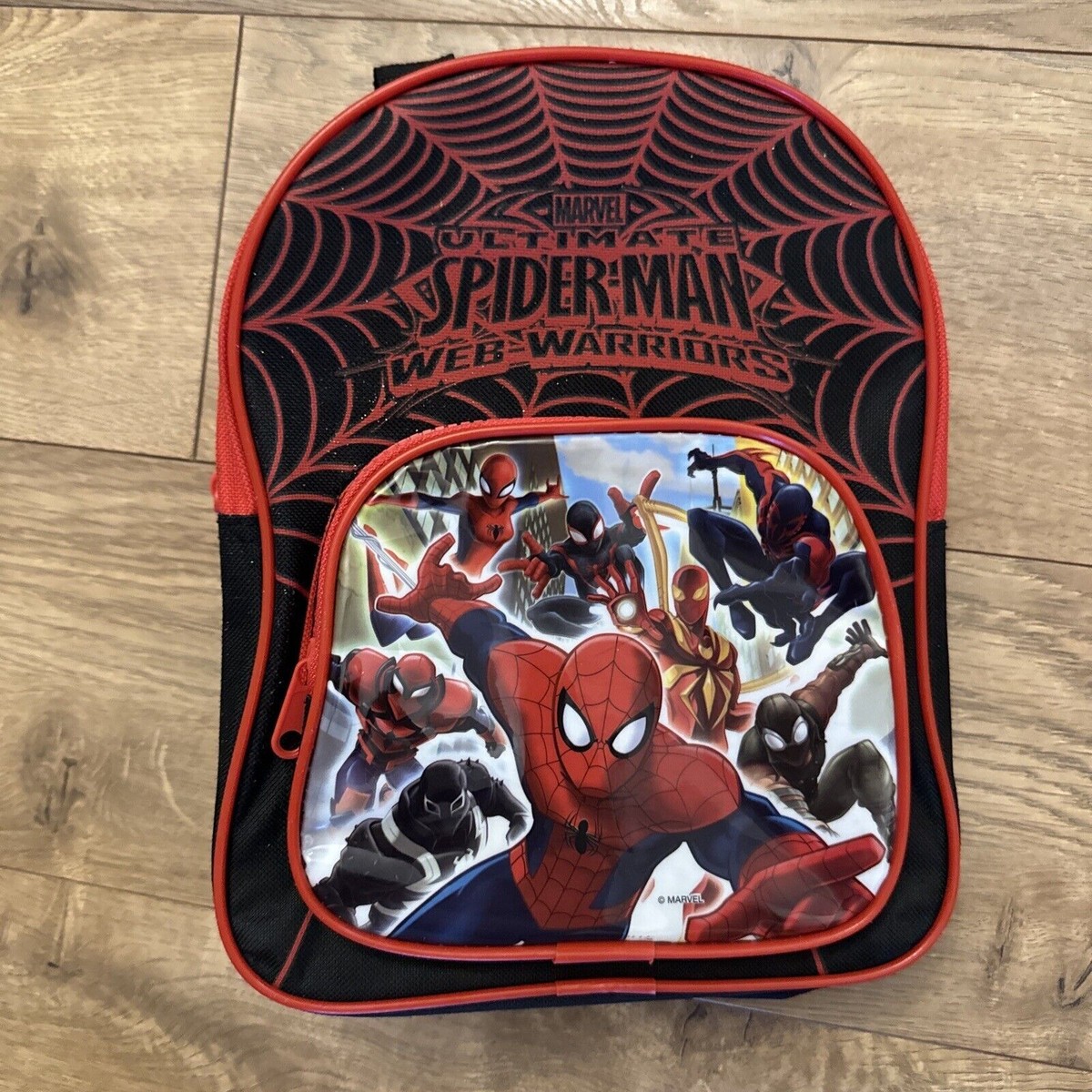 Marvel The Amazing Spiderman Boys Toddlers Mini Canvas 
