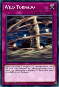 Wild Tornado - SS01-ENC17 - Common - 1st Edition x3 - Near Mint