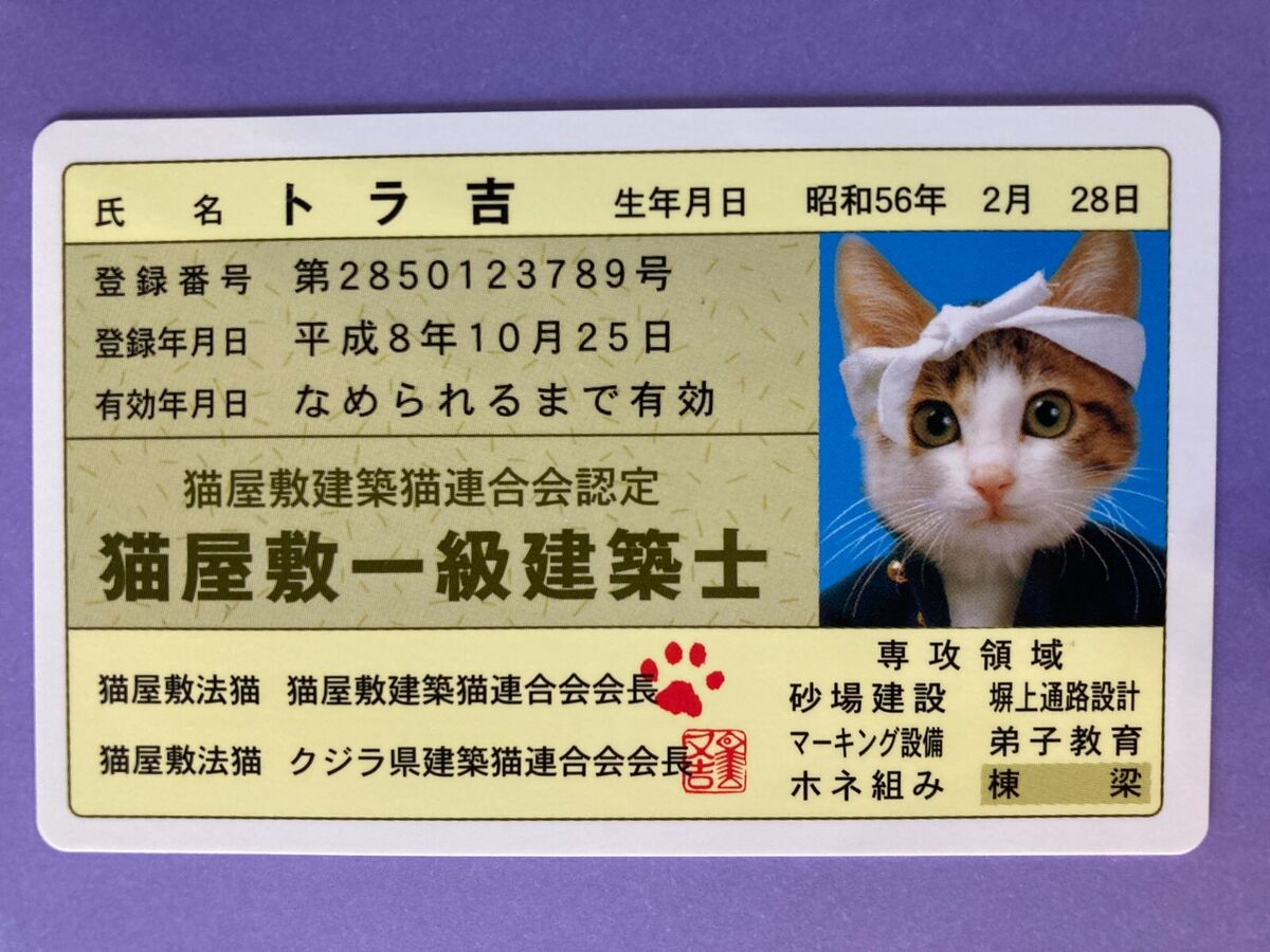 全信頼を寄せる s-l1200.jpg 猫