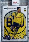 Bild 43 von 48