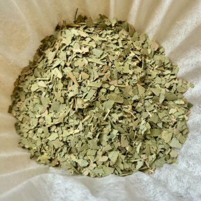 Eucalyptus Leaf Eucalyptus globulus cut and sifted Herb Herbal 1 oz