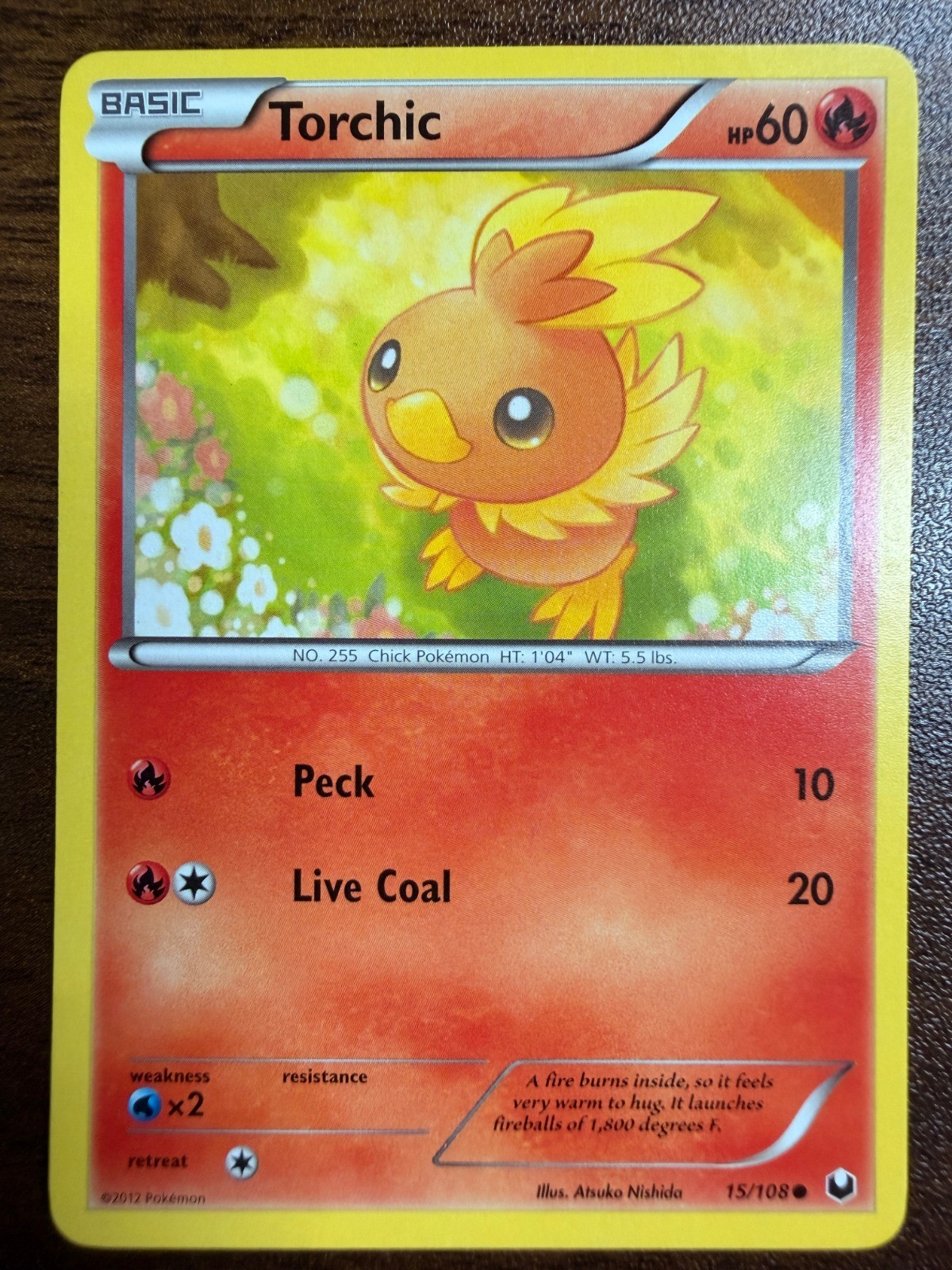 Torchic (15) Common Dark Explorers 15/108 NM