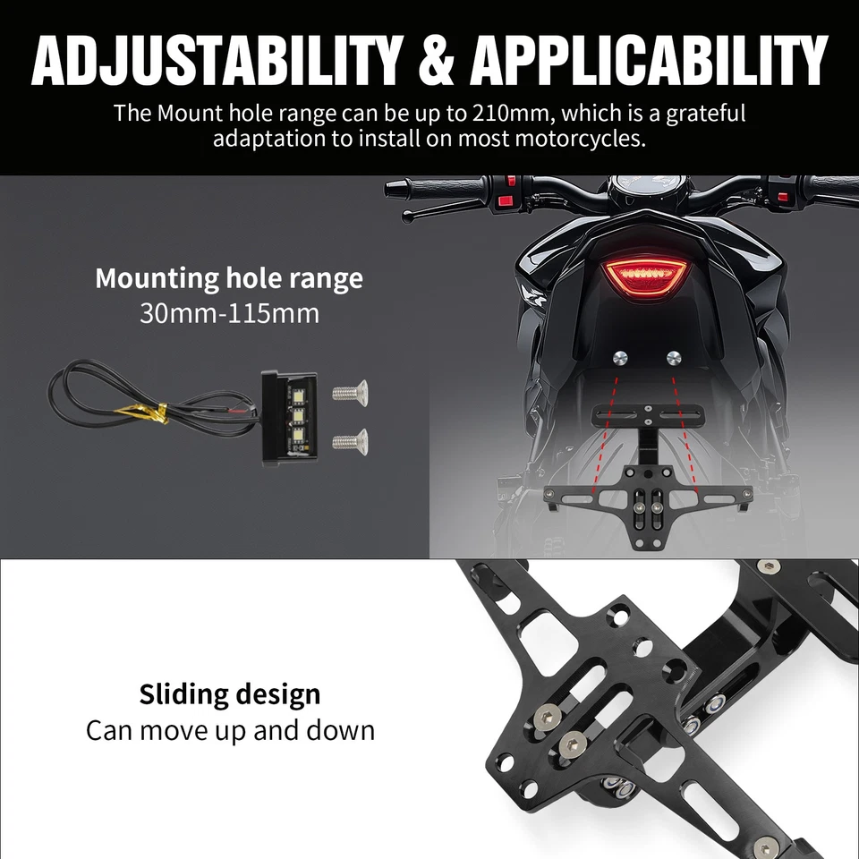 Soporte CNC para placa de matrícula trasera eliminador guardabarros para Triumph Daytona 675 660 Moto Foto 3 de 4