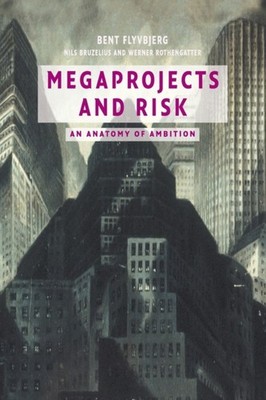Megaprojects and Risk An Anatomy of Ambition by Bent Flyvbjerg PAPERBACK