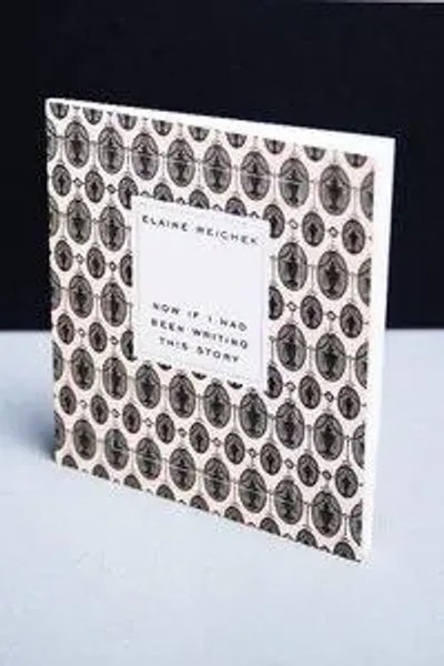 Now If I Had Been Writing This Story. | Elaine Reichek | Englisch | Taschenbuch-image