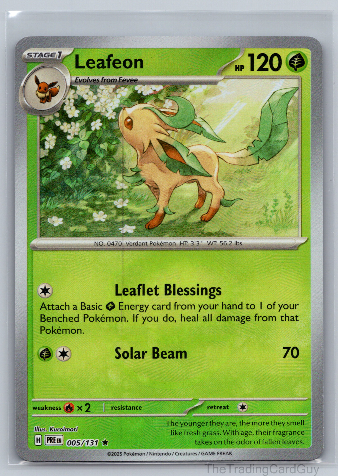 Pokemon TCG Leafeon 005/131 Prismatic Evolutions Master Ball NM