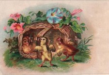 Adorable CHICKS On TOLEDO SPICE CO's GERMAN COFFEE Victorian Trade Card