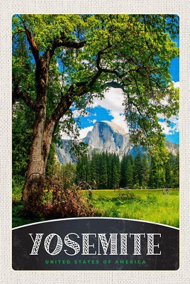 Blechschild 18x12 Yosemite Amerika Bäume Wand Deko Bar Kneipe Sammler Geschenk