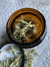 2025 4oz Jar Organic Mullein Leaf Slow Naturally Dried Raw Freshly Harvested